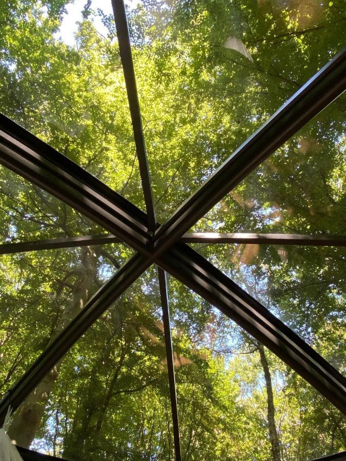 Le Dome De Namur - Une Nuit Insolite Dans Les Bois 외부 사진