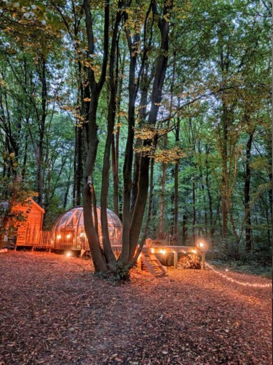 Le Dome De Namur - Une Nuit Insolite Dans Les Bois 외부 사진
