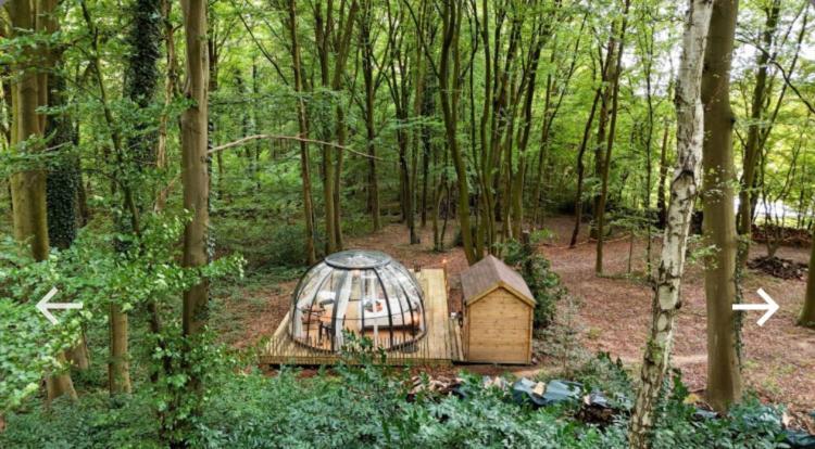Le Dome De Namur - Une Nuit Insolite Dans Les Bois 외부 사진