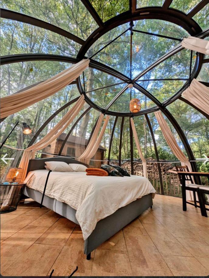 Le Dome De Namur - Une Nuit Insolite Dans Les Bois 외부 사진